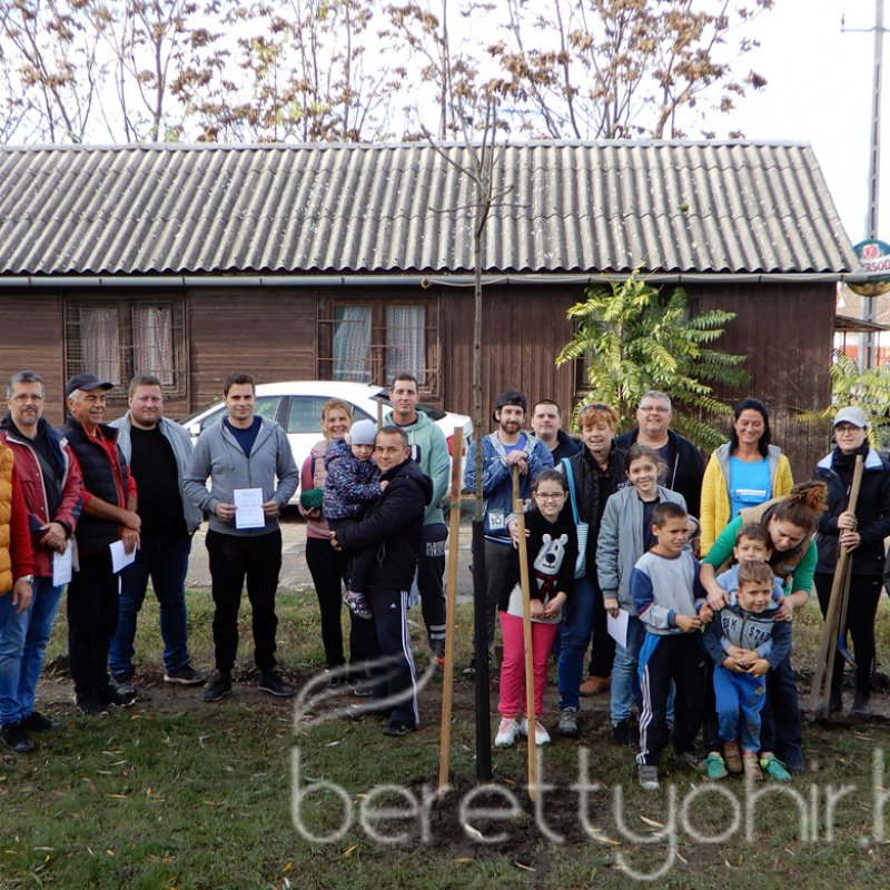 Közösségi faültetés Berettyóújfaluban 86